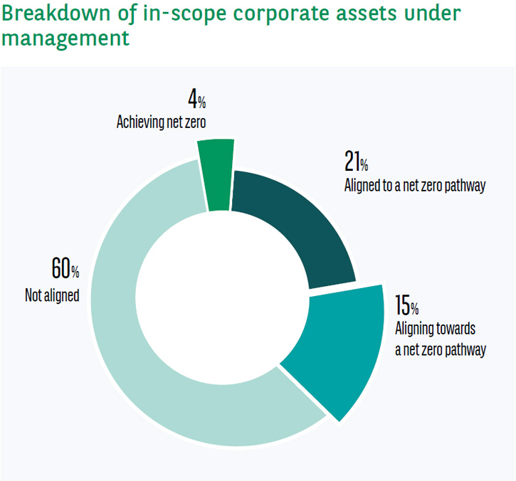 breakdown of in-scope corporate assets